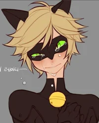 Cat Noir v2