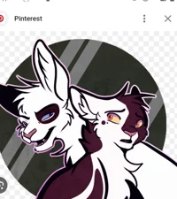 Warrior cats rolepla