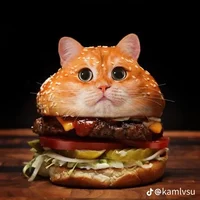 Hamburger cat