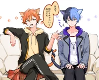 Akitoya Catboys