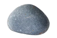A pet rock