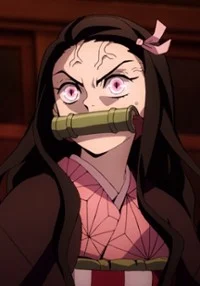 Nezuko Kamado 