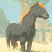 Lora the giant horse