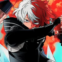 Shoto Todoroki