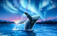 humpback whale