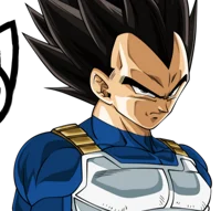 Vegeta Briefs