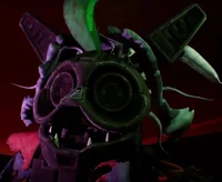 Ruin Roxanne wolf