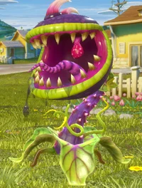 Chomper  gw