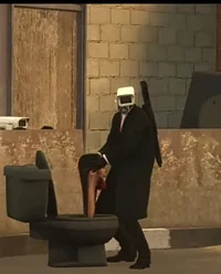 The Perverted Camera