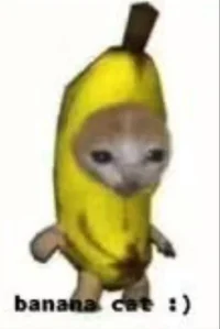 Banana cat