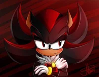 Shadow The Hedgehog