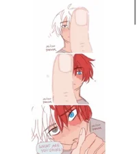 Shoto Todoroki