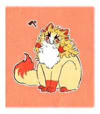 Rengoku Kyojuro Gato