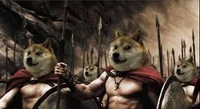 Doge army