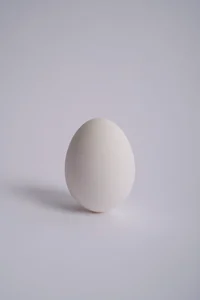Egg