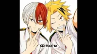 Shoto and denki