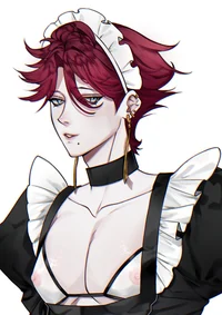 Maid Boy