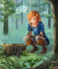 Link