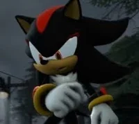 Shadow The Hedgehog