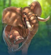 Lev Haiba ELEPHANTVR