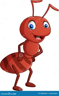 Ant