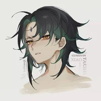 011 XIAO