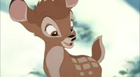 bambi