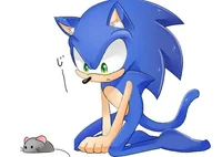 sonic cat