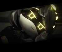 SD V