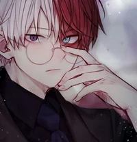 Shoto Todoroki 