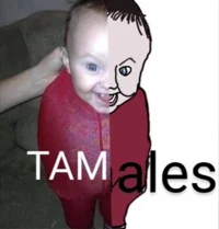 Tamales