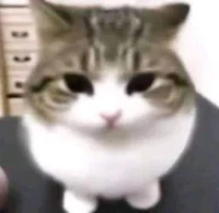 Guardia de seguridad