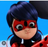 Ladybug 