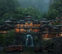 Rainforest Home