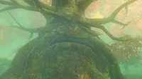 Great deku tree