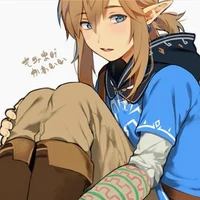 HERO Link