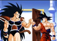 Goku and Raditz