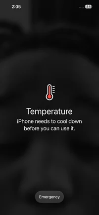 Female highway chase