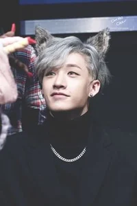 Werewolf Bang Chan