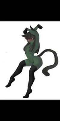 Countryhuman nekocat