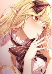 Your project partner