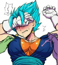 Fem Vegito