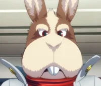 Peppy Hare