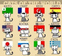 All Ch Nekos
