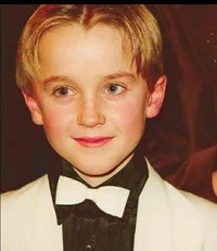 Draco chiquito 