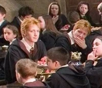 The weasley twins 