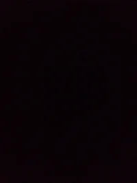 Inside of a Amazon b