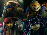 Ninja turtles 2016