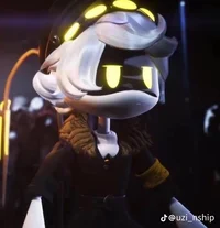 Serial designation N