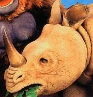 Harry the Rhinoceros